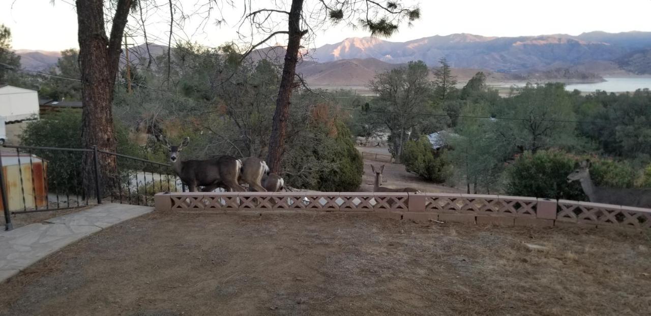 3Br Panoramic Lake View, Sequoia Forest, Kern County Wofford Heights Exterior foto